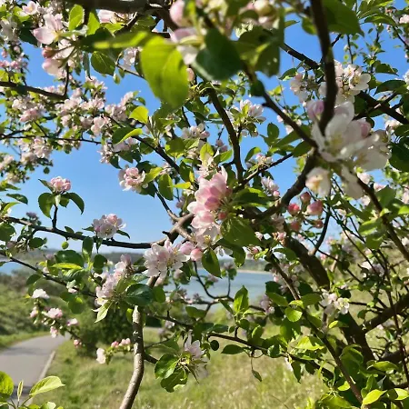 Schloesschen Am Schmachter Apartamento