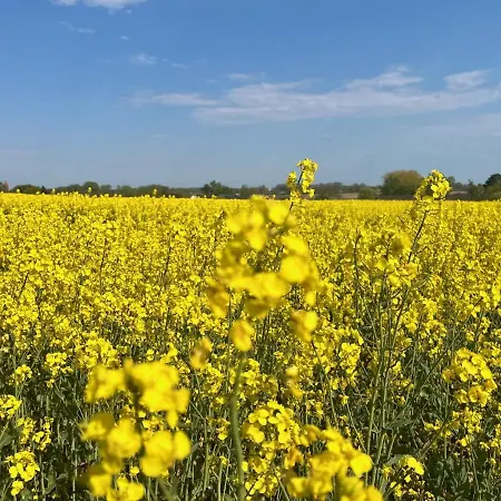 Schloesschen Am Schmachter *